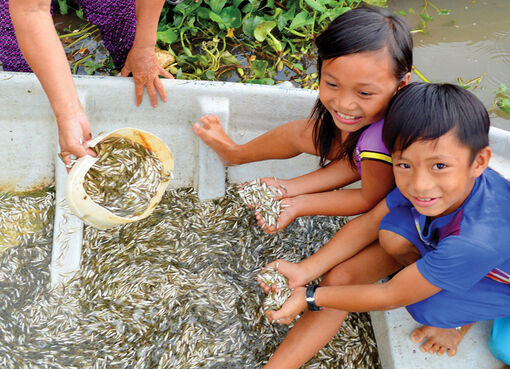 Đậm đà vị cá linh non