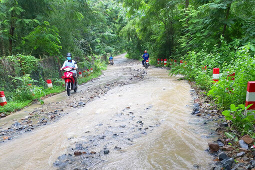 Phòng, chống thiên tai mùa mưa bão