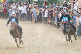 Đua ngựa, truyền thống văn hóa của dân tộc Mông