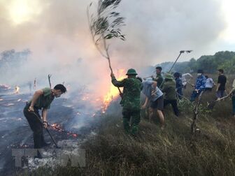 Quảng Trị: Cháy khoảng 30ha rừng phòng hộ ở huyện Triệu Phong