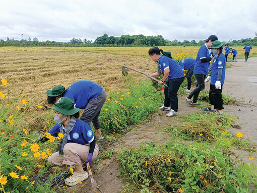 Thanh niên Châu Phú xây dựng quê hương