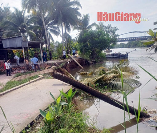 Cấp bách phòng, chống sạt lở