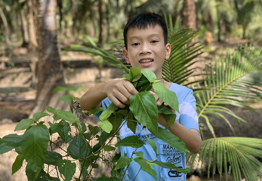 Học sinh Việt Nam giành giải Ba quốc tế cuộc thi viết thư UPU