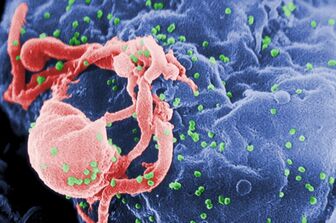 Đột phá lớn về loại thuốc giúp chữa khỏi HIV