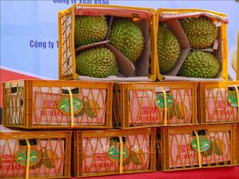 Nông sản Việt tham gia sâu hơn vào chuỗi cung ứng nông sản toàn cầu
