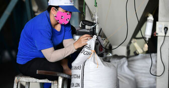Giá gạo xuất khẩu giảm mạnh, doanh nghiệp Việt vẫn trúng hợp đồng lớn giá cao
