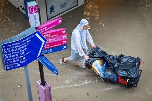 Hong Kong đóng cửa trường học do mưa lớn