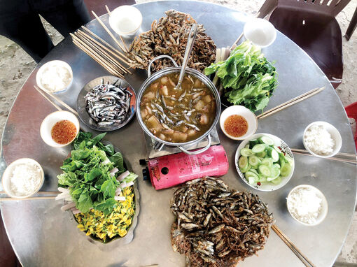 Nơi đầu nguồn con nước