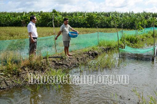 Sóc Trăng: Đảng bộ xã Hưng Phú phấn đấu phát triển toàn diện về chính trị, kinh tế, văn hóa, xã hội