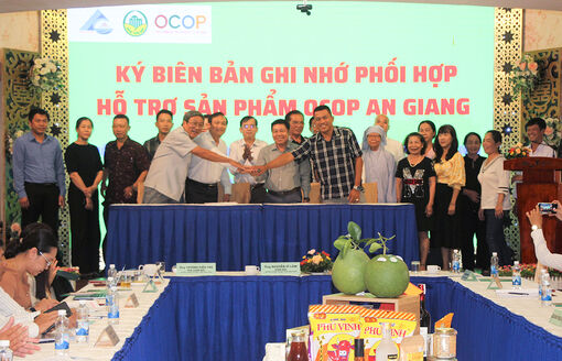 Bàn giải pháp nâng cao chất lượng sản phẩm OCOP và kết nối sản phẩm thuộc Chương trình "Mỗi xã một sản phẩm" tỉnh An Giang