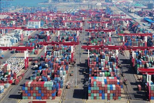 OECD đánh giá tăng trưởng toàn cầu ở mức 'dưới trung bình'