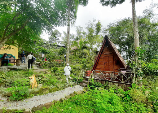 Cần xử lý các Homestay xây dựng trái phép trên núi Cấm