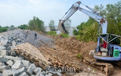 Giữ đất, giữ rừng - Hành trình chưa hồi kết