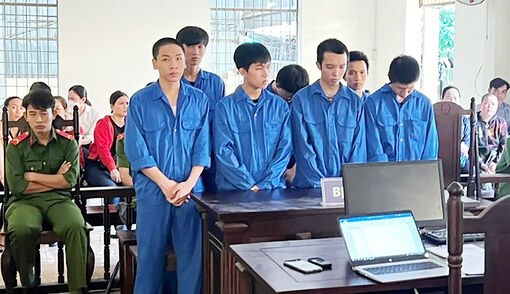 Hành xử côn đồ, cả nhóm bạn lãnh án