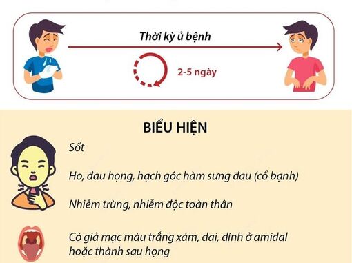 Triệu chứng và cách phòng chống bệnh bạch hầu