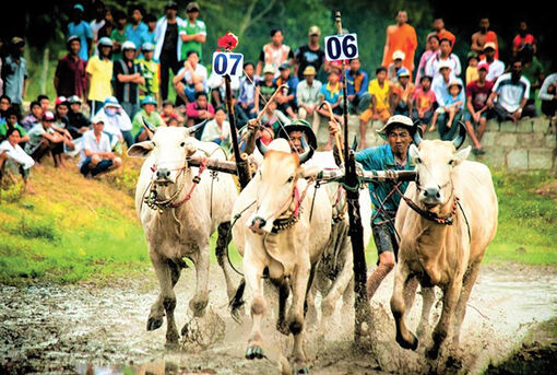 An Giang bảo tồn, phát huy giá trị lịch sử - văn hóa
