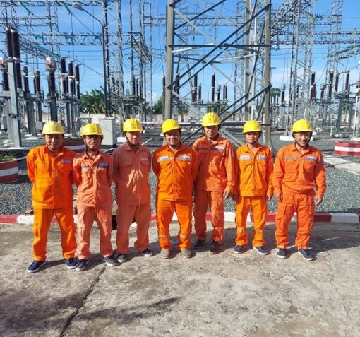 Đội Quản lý vận hành lưới điện cao thế An Giang ngăn ngừa chim làm tổ trên thiết bị điện 110kV