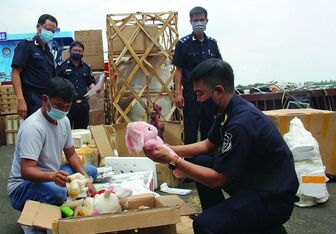 Hải quan TP Hồ Chí Minh bắt giữ 27 vụ vận chuyển ma túy qua đường hàng không