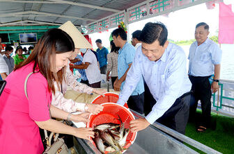 Thả cá tái tạo nguồn lợi thủy sản ở huyện An Phú