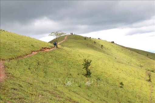 Cung đường trekking mạo hiểm Tà Năng - Phan Dũng mê hoặc các 'phượt thủ'