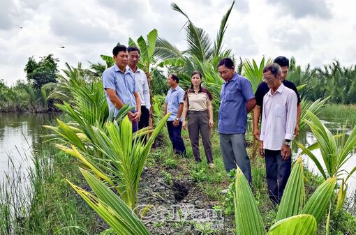 Cà Mau: Mô hình mới trên bờ vuông