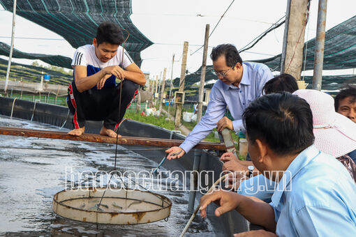 Sóc Trăng đạt nhiều thành quả trong sản xuất nông nghiệp