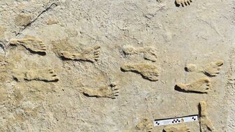 Tìm thấy dấu chân người cổ đại tại New Mexico