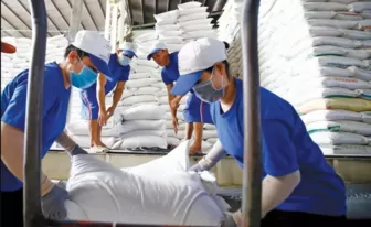Xuất khẩu gạo Việt Nam thiết lập kỷ lục mới