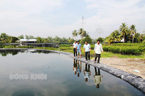 Bến Tre: Chủ động ứng phó với hạn mặn mùa khô 2023-2024