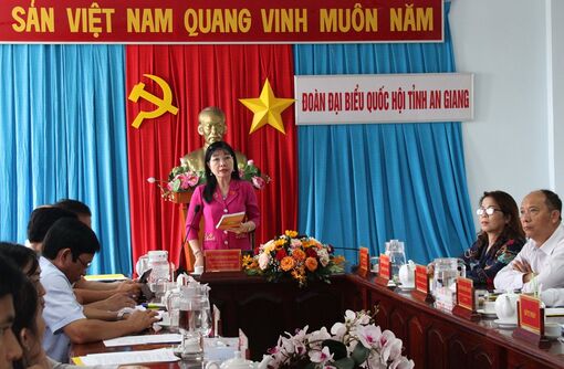 Tăng cường hoạt động giám sát của đại biểu Quốc hội
