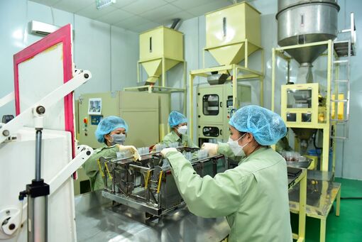 An Giang: Tăng tốc những tháng cuối năm 2023