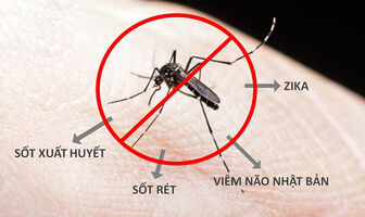 Các bệnh do muỗi truyền và cách phòng tránh