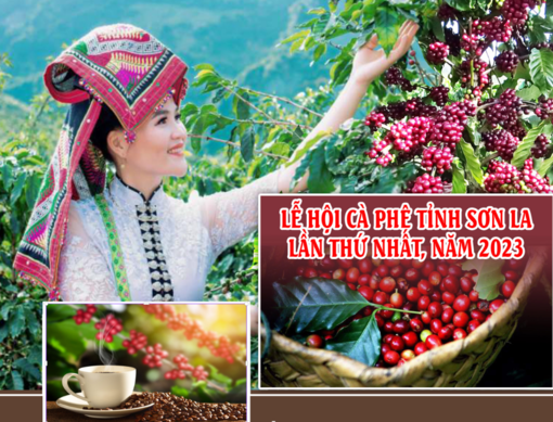 Chương trình Lễ hội Cà phê tỉnh Sơn La lần thứ nhất năm 2003