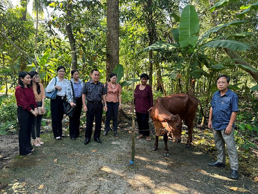 Giám sát chương trình giảm nghèo tại huyện Tri Tôn
