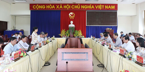 Giám sát công tác quản lý, sử dụng và khai thác đất công tại Châu Đốc và Long Xuyên