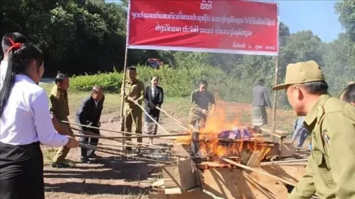 Lào tiêu hủy hàng chục tấn ma túy