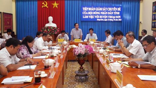 Phó Chủ tịch HĐND tỉnh An Giang Đỗ Tấn Kiết yêu cầu tăng cường thanh, kiểm tra, xử lý vi phạm trong quản lý sử dụng đất công