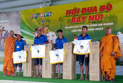 Đôi bò ở thị trấn Cô Tô (huyện Tri Tôn) giành giải nhất Hội Đua bò Bảy Núi năm 2023