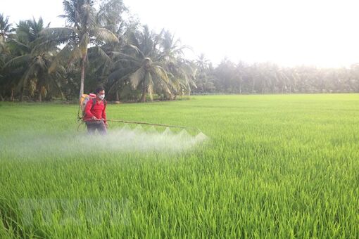 Truyền cảm hứng làm giàu cho những người nông dân Khmer ở Trà Vinh