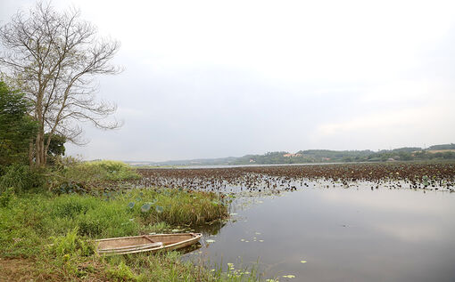 Chuyện săn giải đầm Bạch Thủy