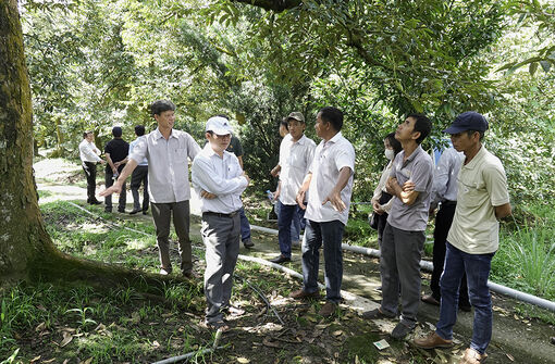 Hội Nông dân tỉnh An Giang tham quan mô hình trồng sầu riêng trái vụ ở Tiền Giang