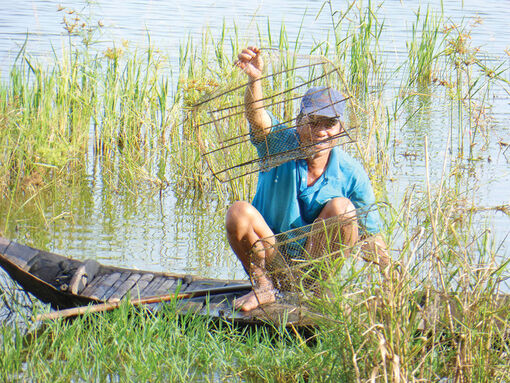 Về sông ăn tôm