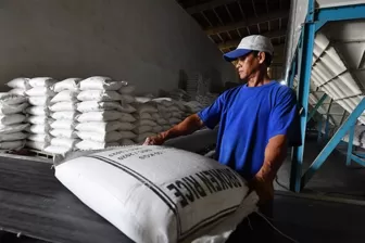Giá gạo Việt cao kỷ lục, kim ngạch xuất khẩu lập đỉnh mới