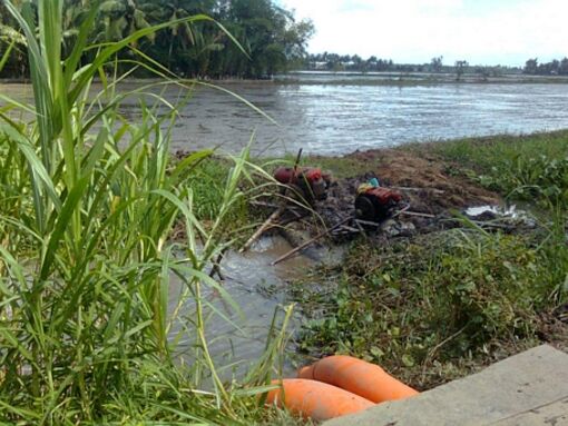 Vĩnh Long: Xuống giống lúa Đông Xuân đề phòng triều cường, mưa lớn