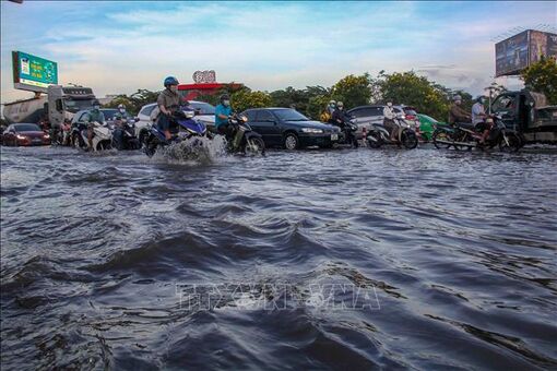 Triều cường ở ven biển Đông Nam Bộ tăng vào sáng sớm và chiều những ngày tới