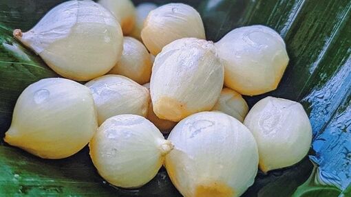 Hành - rau gia vị quốc dân trong mâm cơm Việt