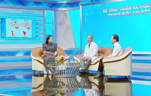 Tọa đàm về sự phát triển và thách thức trong điều trị đột quỵ