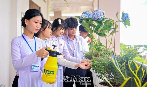 Cà Mau: Phủ xanh học đường