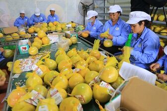 Xuất khẩu nông, lâm, thủy sản Việt Nam đạt 43 tỉ USD