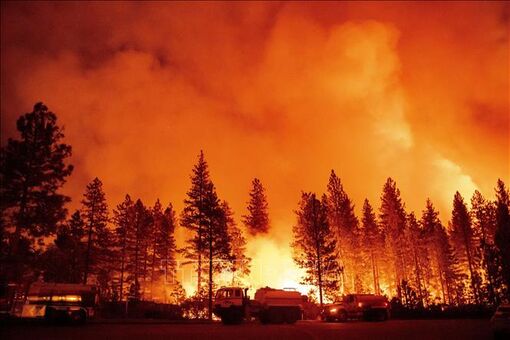 Hàng nghìn người sơ tán vì cháy rừng lan rộng ở bang California